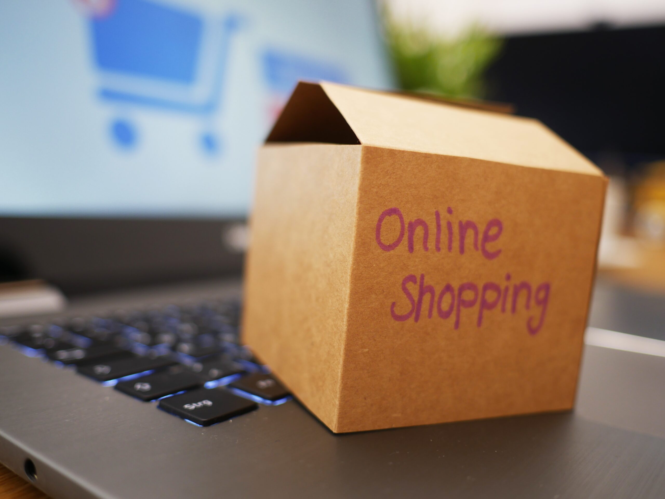 The Art of Selling Online: Tips for E-commerce Success