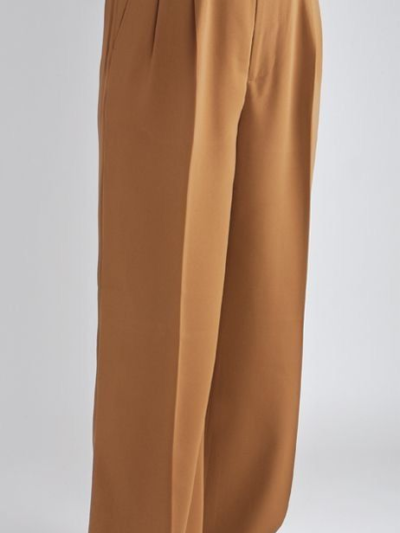 Men's Wide Leg Pants-Double Pleated